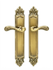 Gaia Brass Door Handle Set on plate.