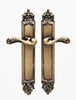 Gaia Brass Door Handle Set on plate.