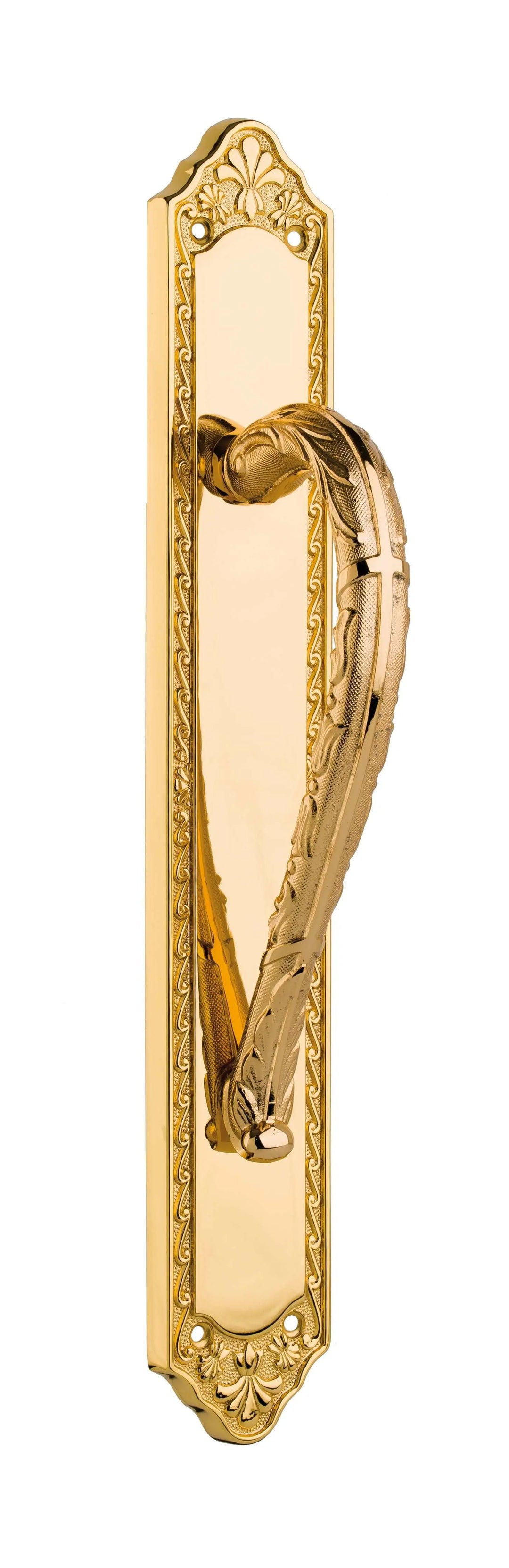 Polished gold Traditional Luxury door pull handle on plate