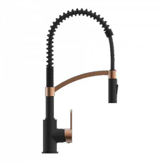 Felis semi-Pro Pull down kitchen faucet. German kitchen faucets. Wasserwerk
