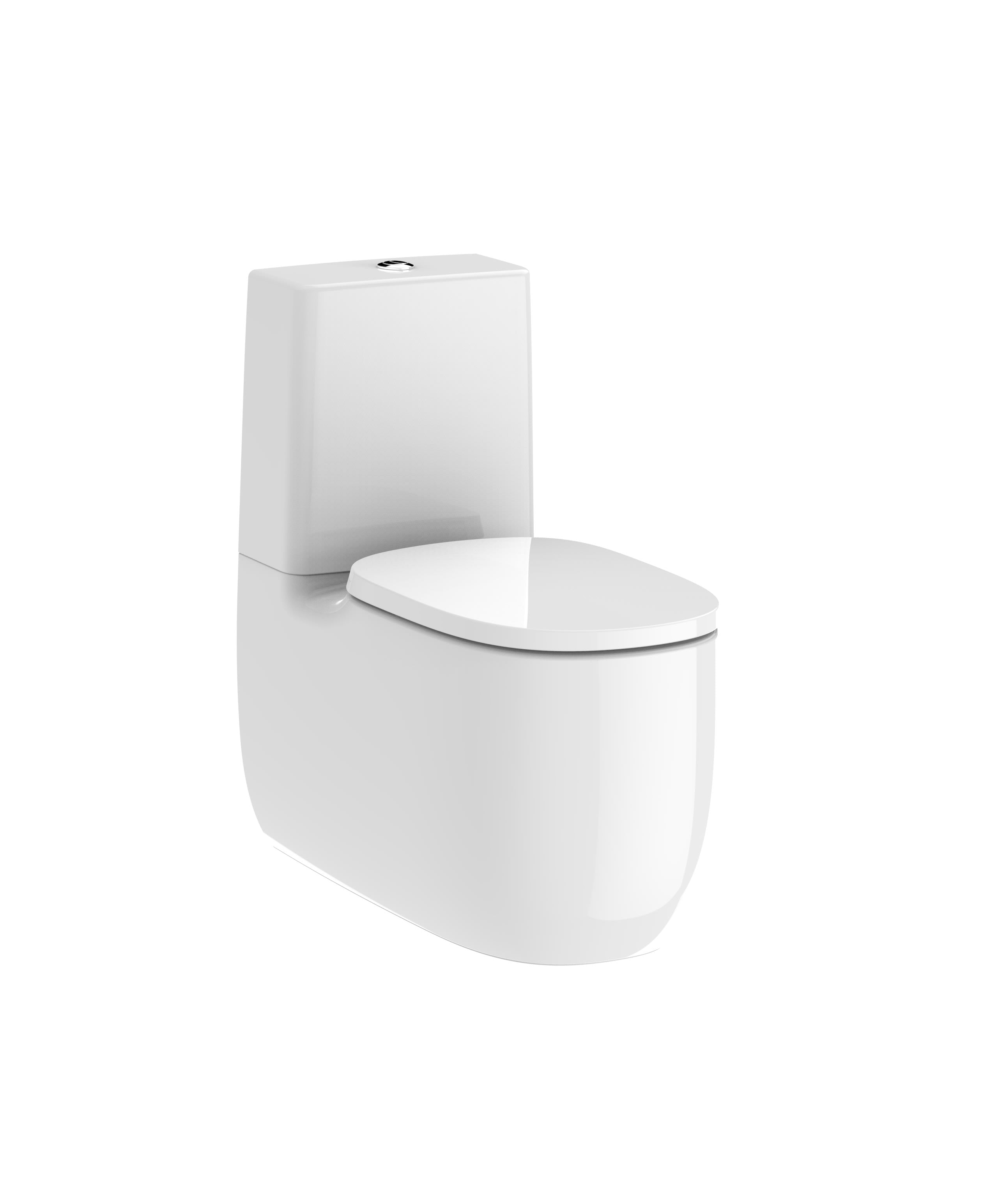 Roca Beyond Floor mounted Rimless Toilet with dual outlet. Contemporar –  secretbathstore