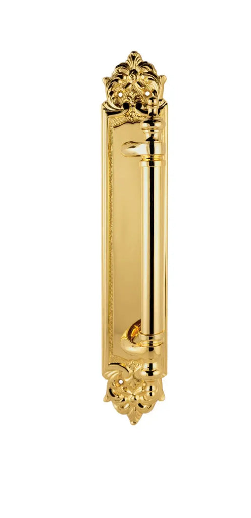 Traditional Luxury door pull handle on plate.