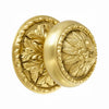 Paris Center door fixed knob 6 in. Classica collection.