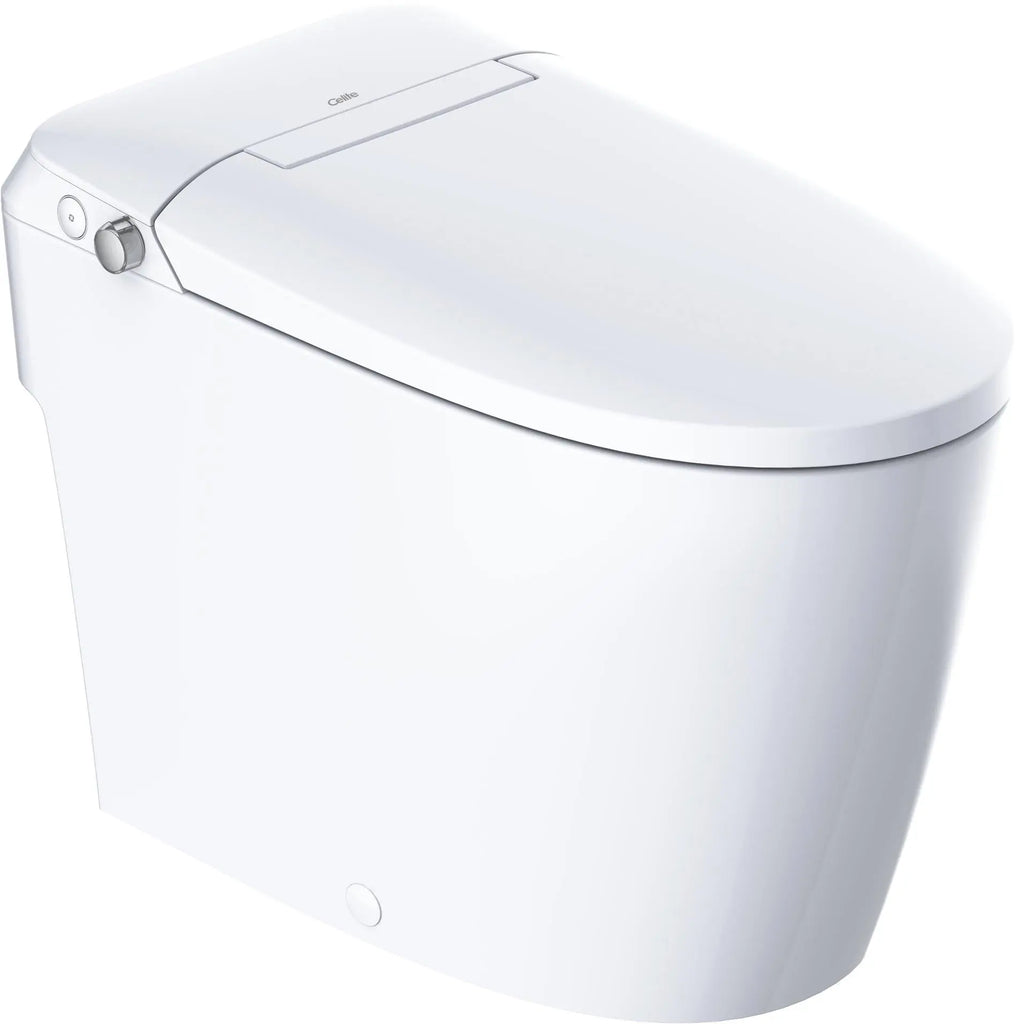 Ultra, elongate tankless bidet Toilet, Floor Mount, White Vitreous China. Celite by Roca Roca