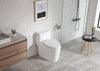 Luxe One piece Tornado toilet. Vitreous china white. Watersense toilet. Rimless toilet Secret Bath